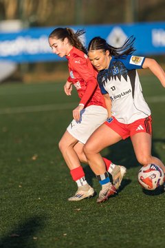 Bild 240 - wBJ Hamburger SV - Holstein Kiel : Ergebnis: 8:0